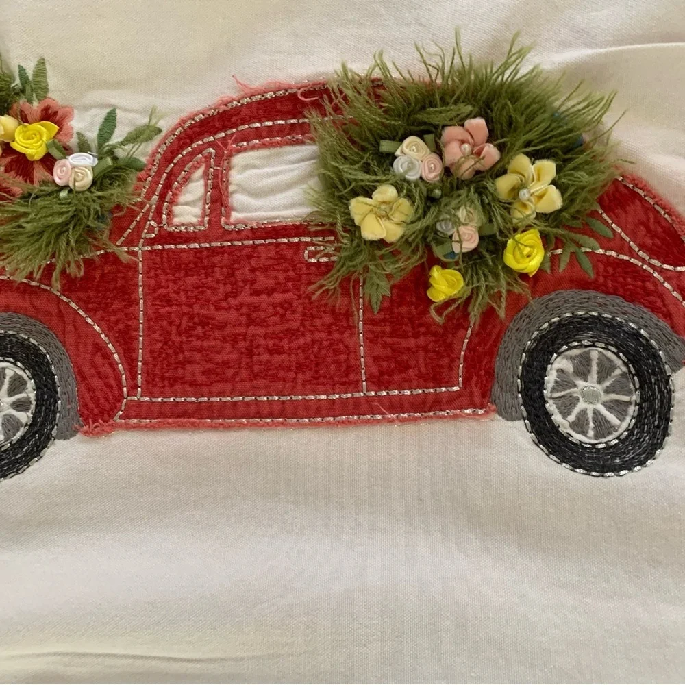 Pier one pillow case